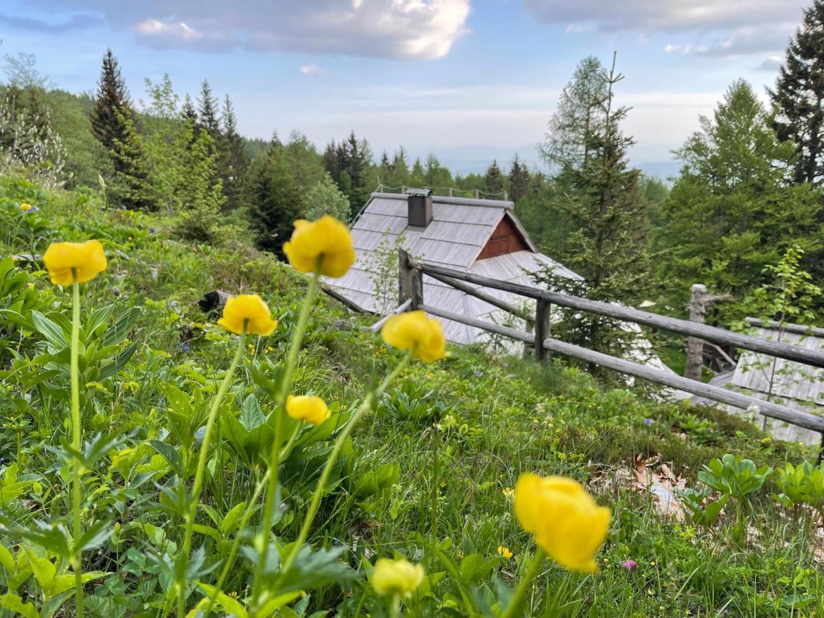 Velika Planina Chalet Slovenka Stahovica ภายนอก รูปภาพ